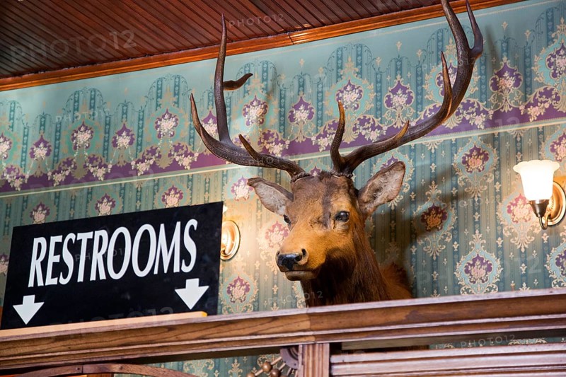 The Gold Coin Saloon
