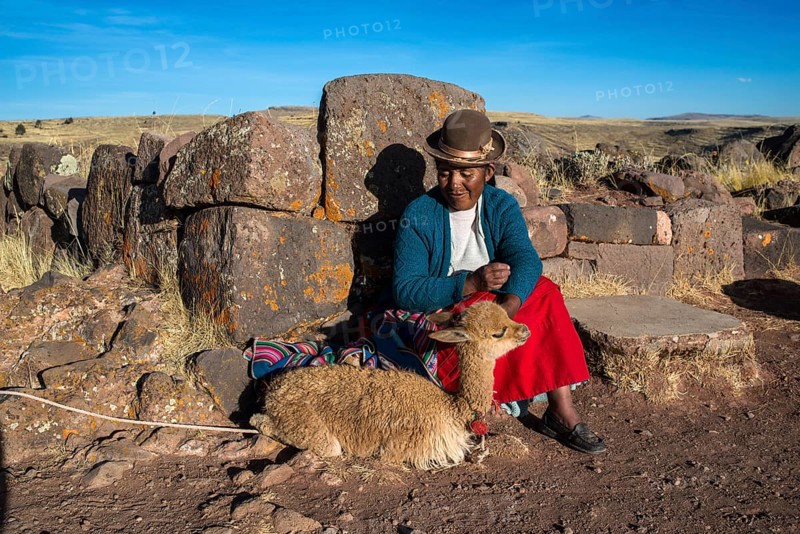 Aymara Indian woman in traditional dress sitting against stone wall with guanaco