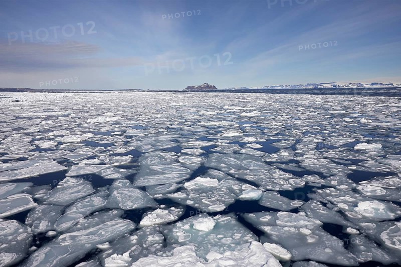 Pancake ice on the water surface