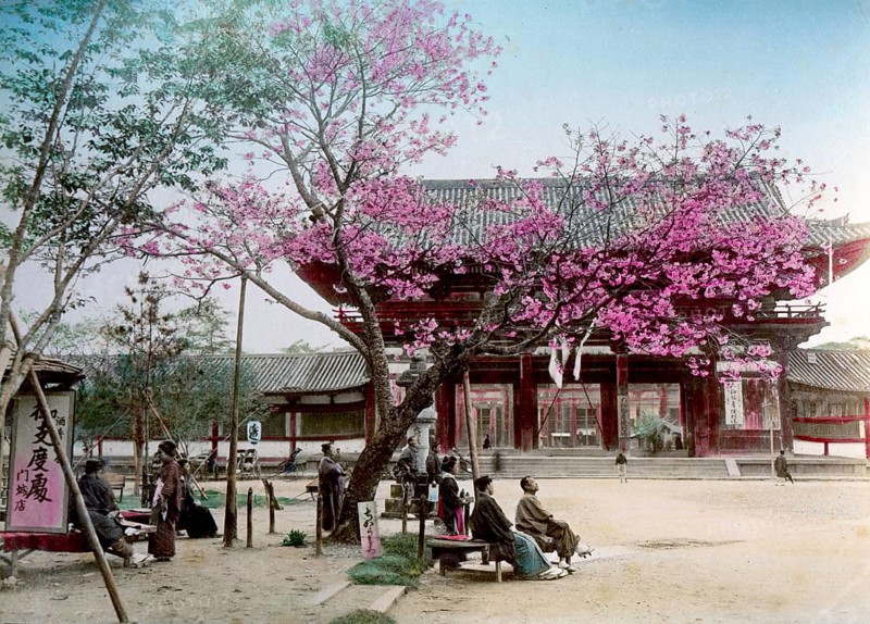 Daibutsu Nara temple