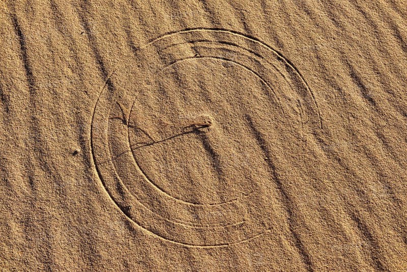 Circular texture of moving grass on a sanddune