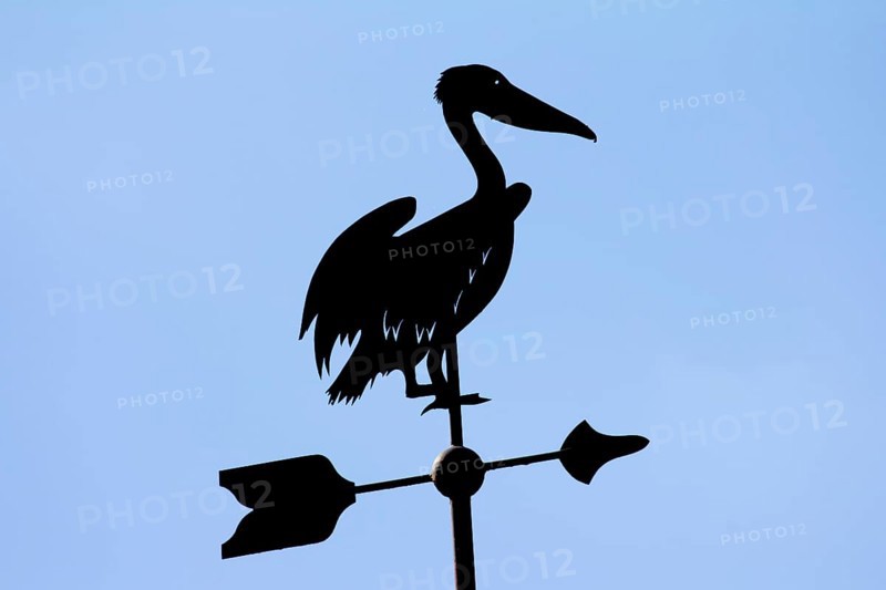 Wind direction knife in the shape of a pelican