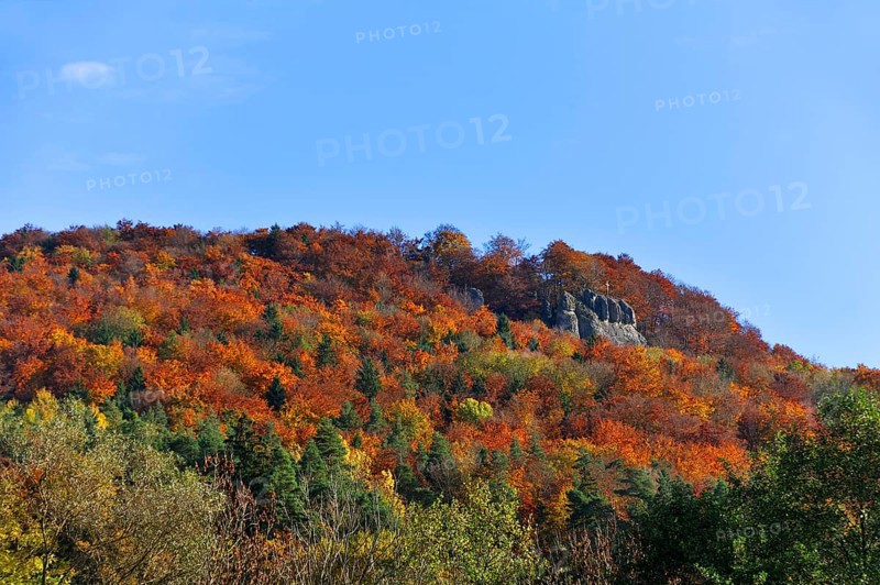 Autumn coloured trees on Mt Glatzenstein