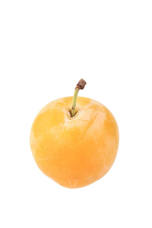 Qulins Greengage