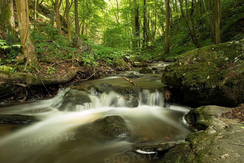 Kajabach stream