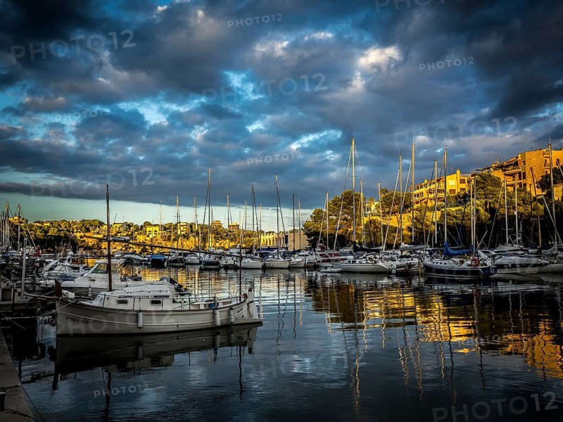 Harbour at sunset