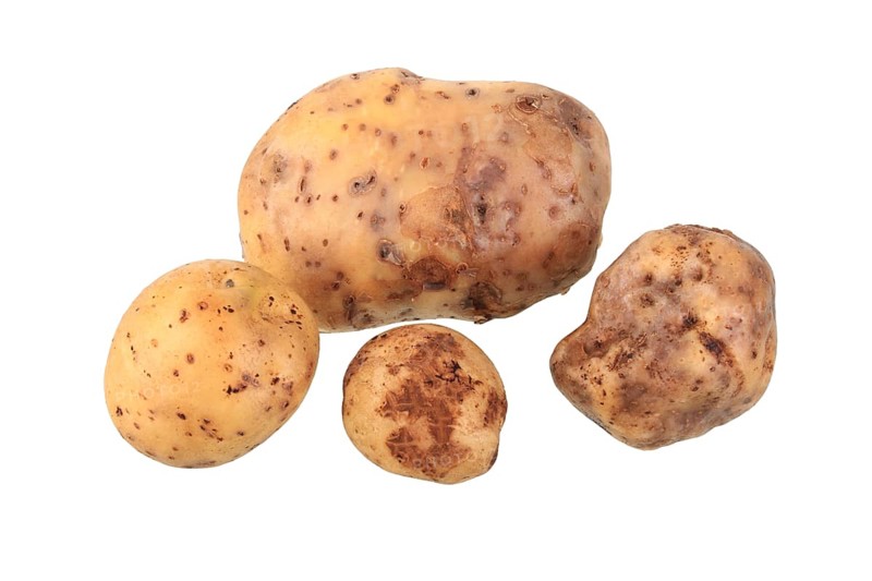 Potatoes