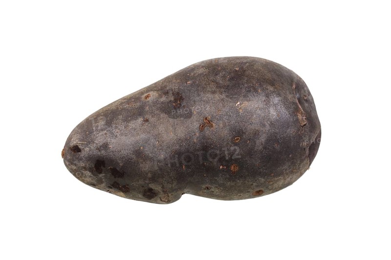 Potato