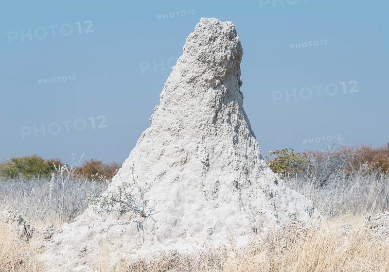 Termite mound at the edge of the Etosha Pan