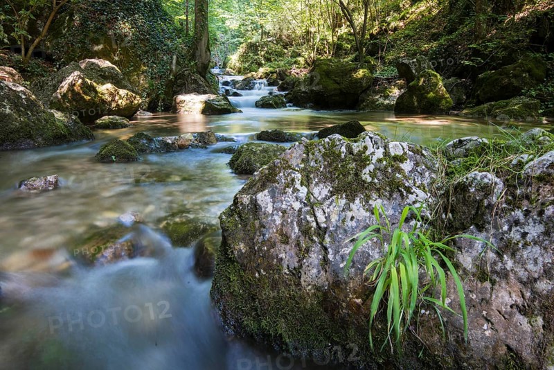 Brook of Myra Falls