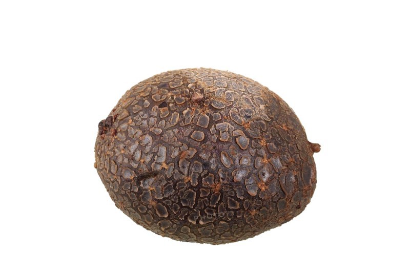 Potato