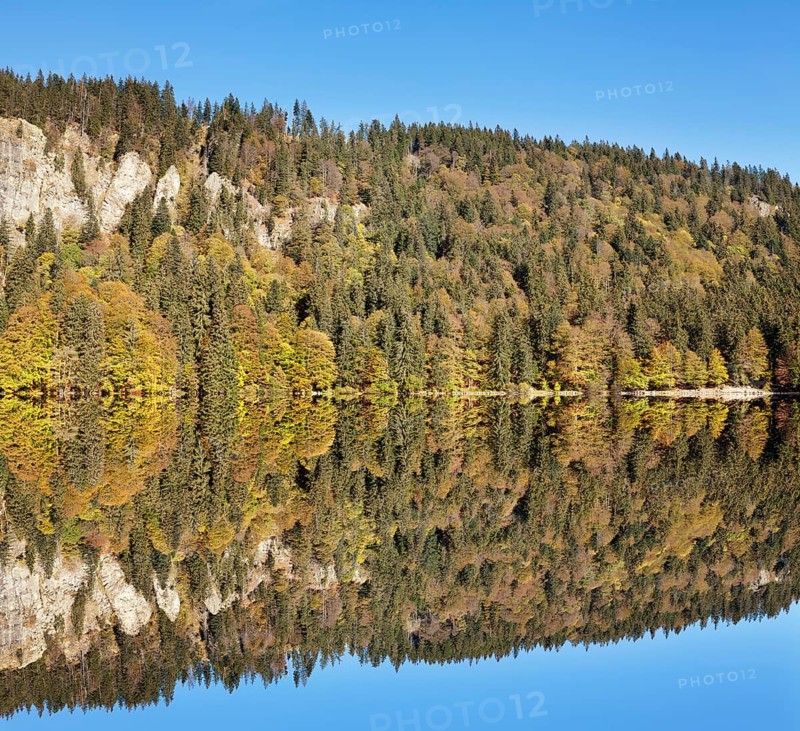 Lake Feldsee and Feldberg mountain