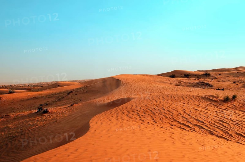 Desert