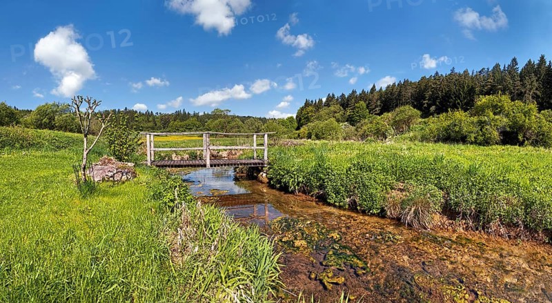 Bridge over the Morsbach stream with green meadows