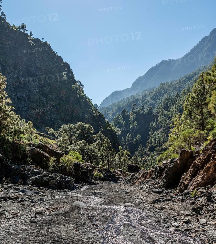 Stream