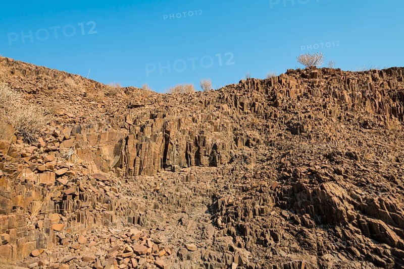 Organ pipes