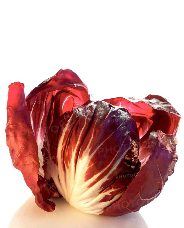 Radicchio