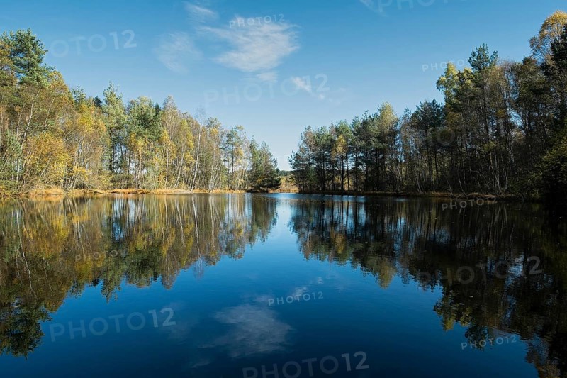 The source of the Neckar River