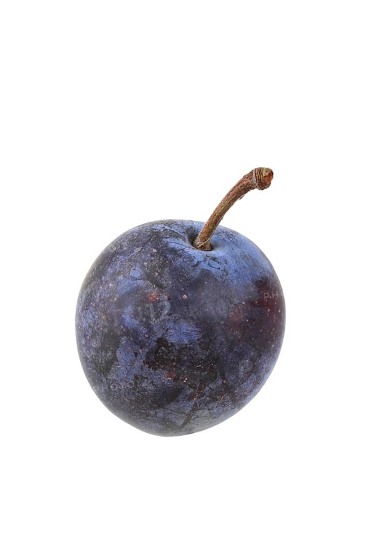 Plum