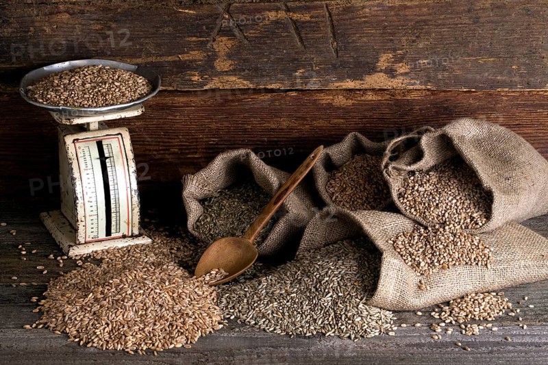 Various types of cereals