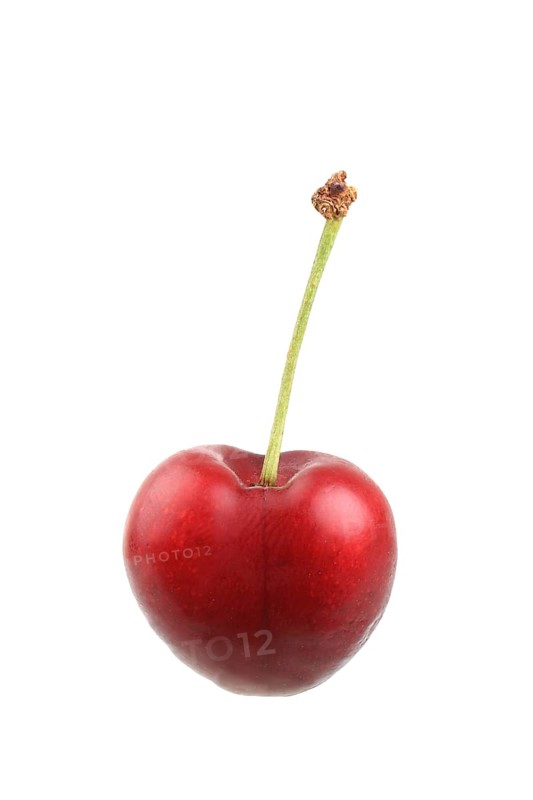 Sweet cherry