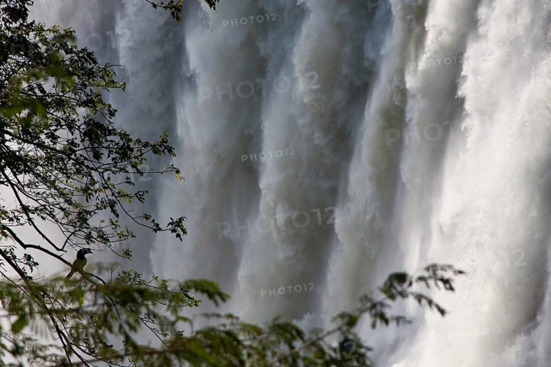 Wall of water