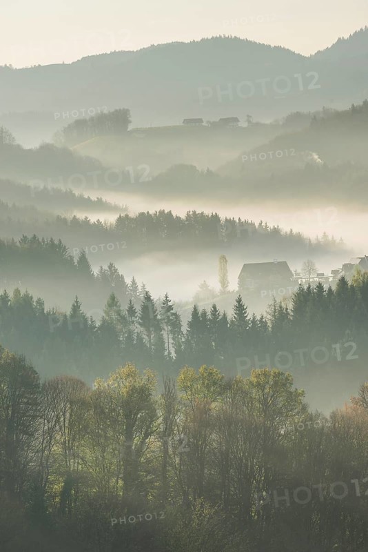 Morning mist over wooded hills
