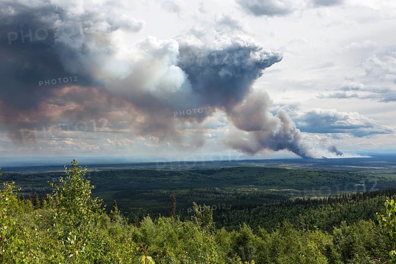 Forest fire after lightning stroke