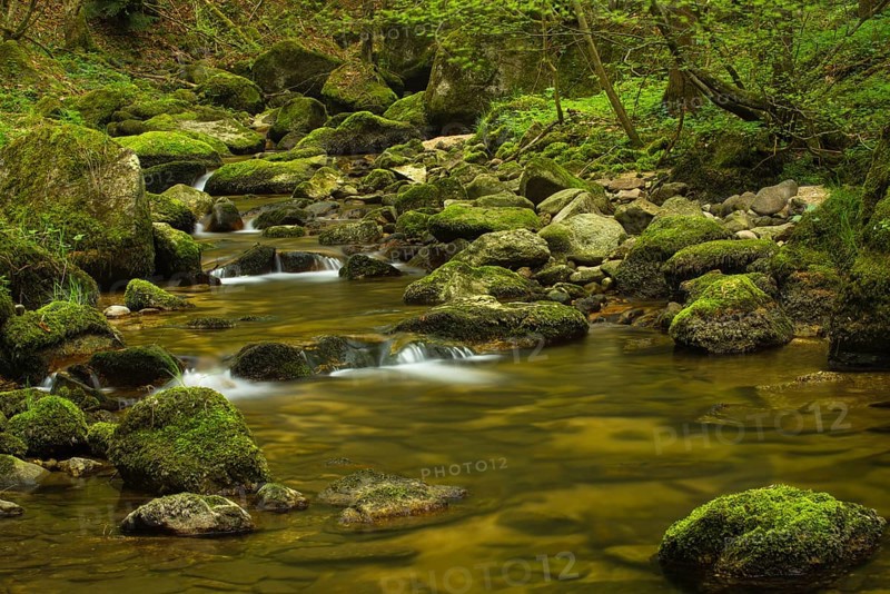 Stillensteinklamm gorge