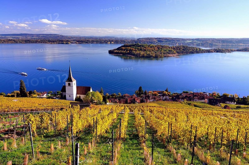 Lake Biel and vineyards in autumn