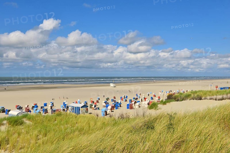 Sandy beach beach