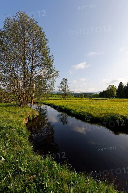 Grosse Ohe river in the Klosterfilz