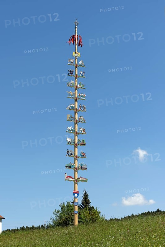 Maypole