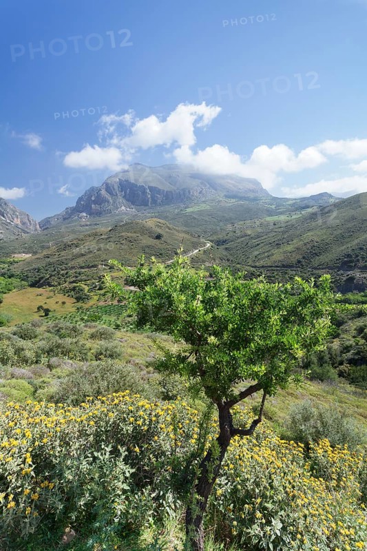 Valley of Megalopotamos