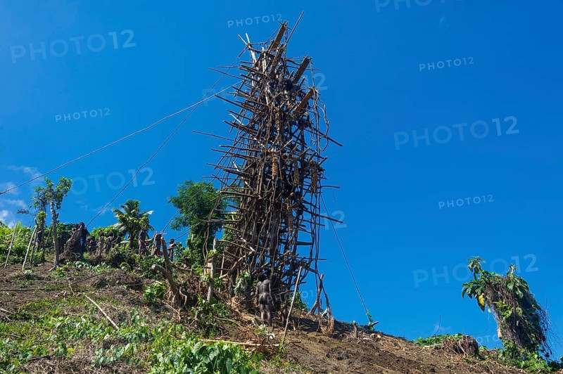 Bamboo tower for Pentecost land diving