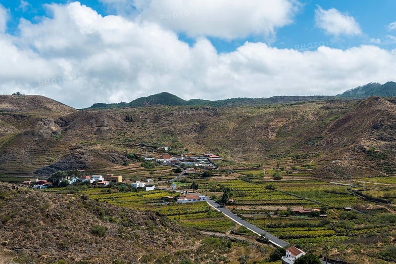 Plantations near Santiago del Teide