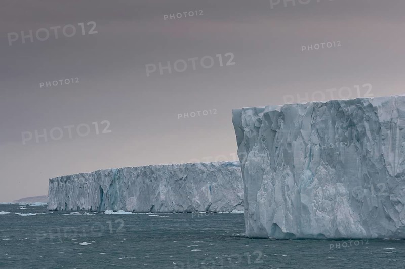 Brasvellbreen