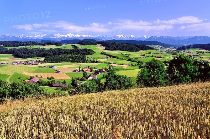 View of the Emmental