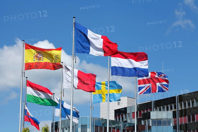Waving international flags in front of the European Parliament
