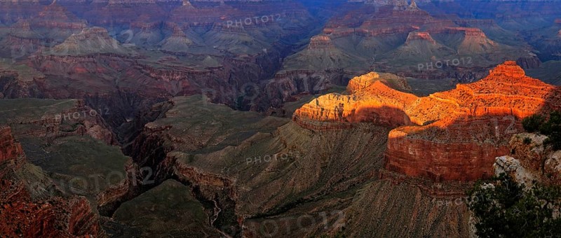 View of the Grand Canyon in the evening light