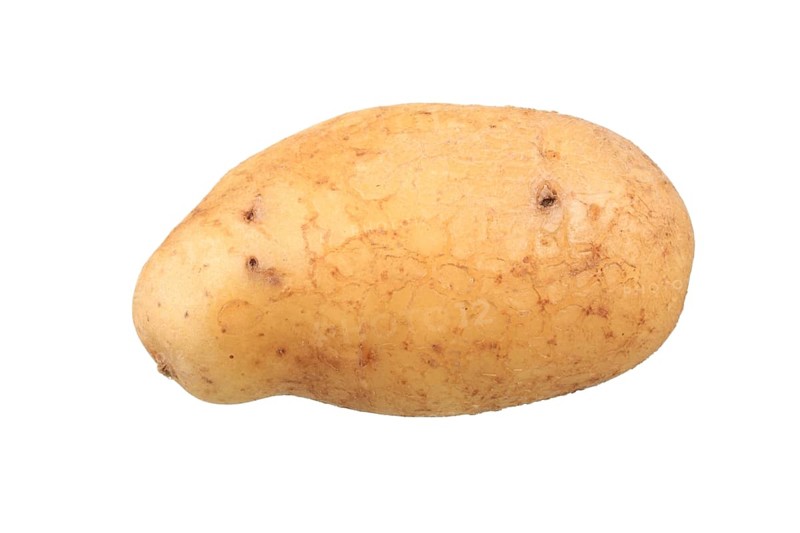 Potato