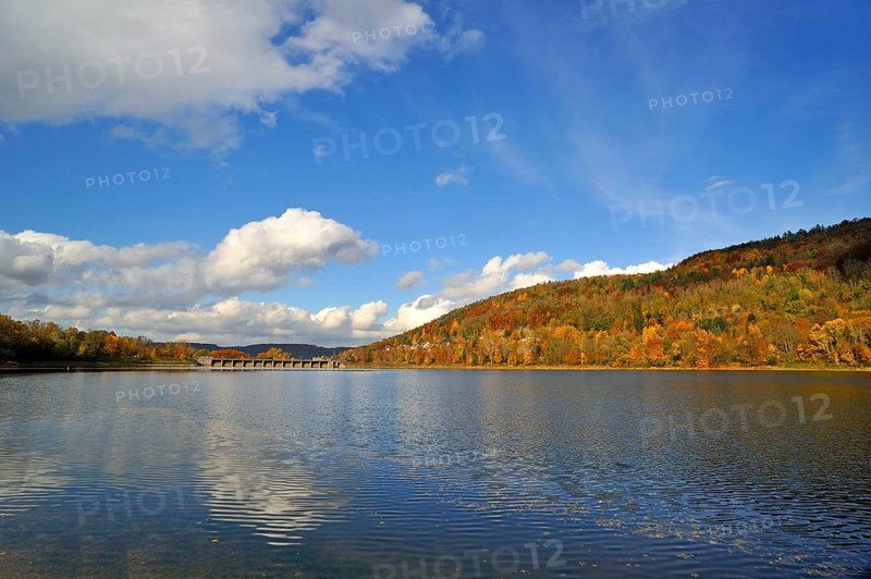 Autumn forest on the Happurger See reservoir