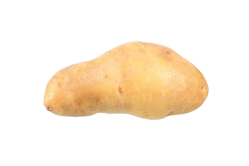 Potato
