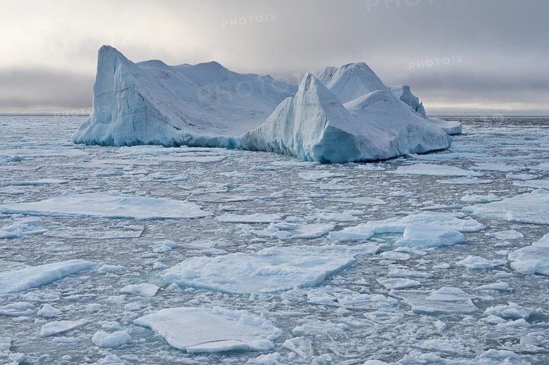 Iceberg floating in pack ice