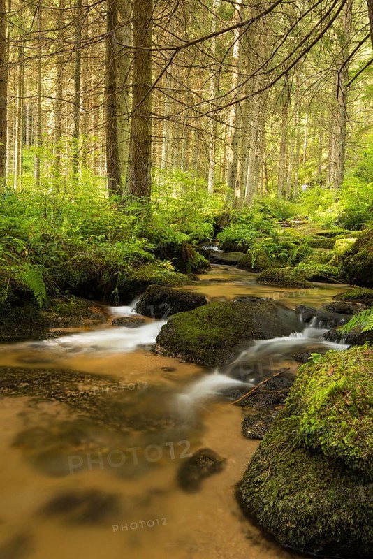 Lohnbach stream