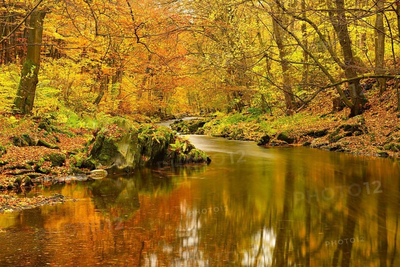 Schwarza River in the autumn