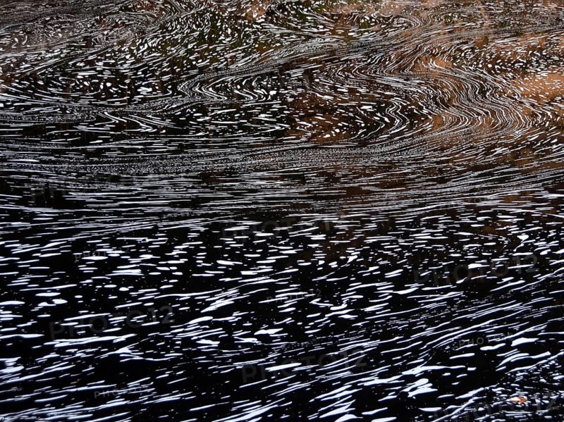 Typical foam structures on a blackwater river