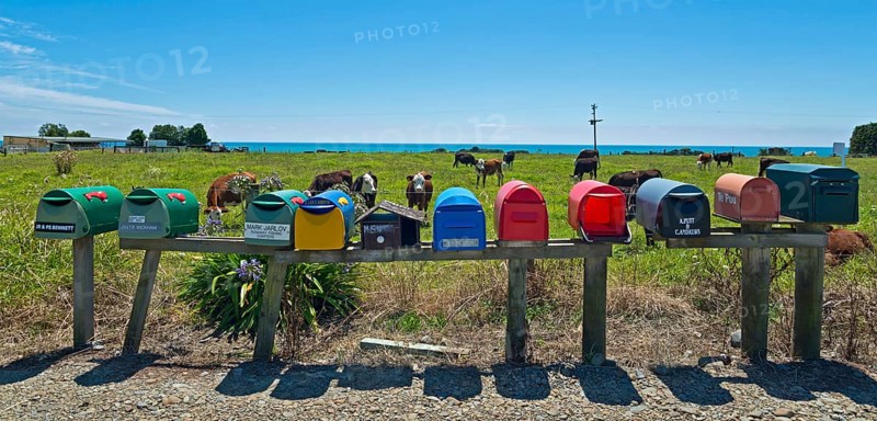 Several mailboxes at a cow pasture