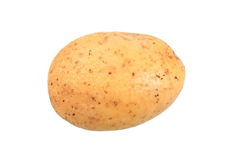 Potato
