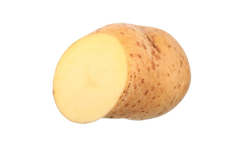 Potato
